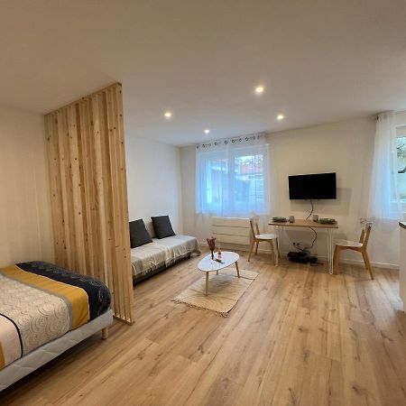 Апартаменти Le Petit Sauveur - Studio & Parking Тулуза Екстер'єр фото