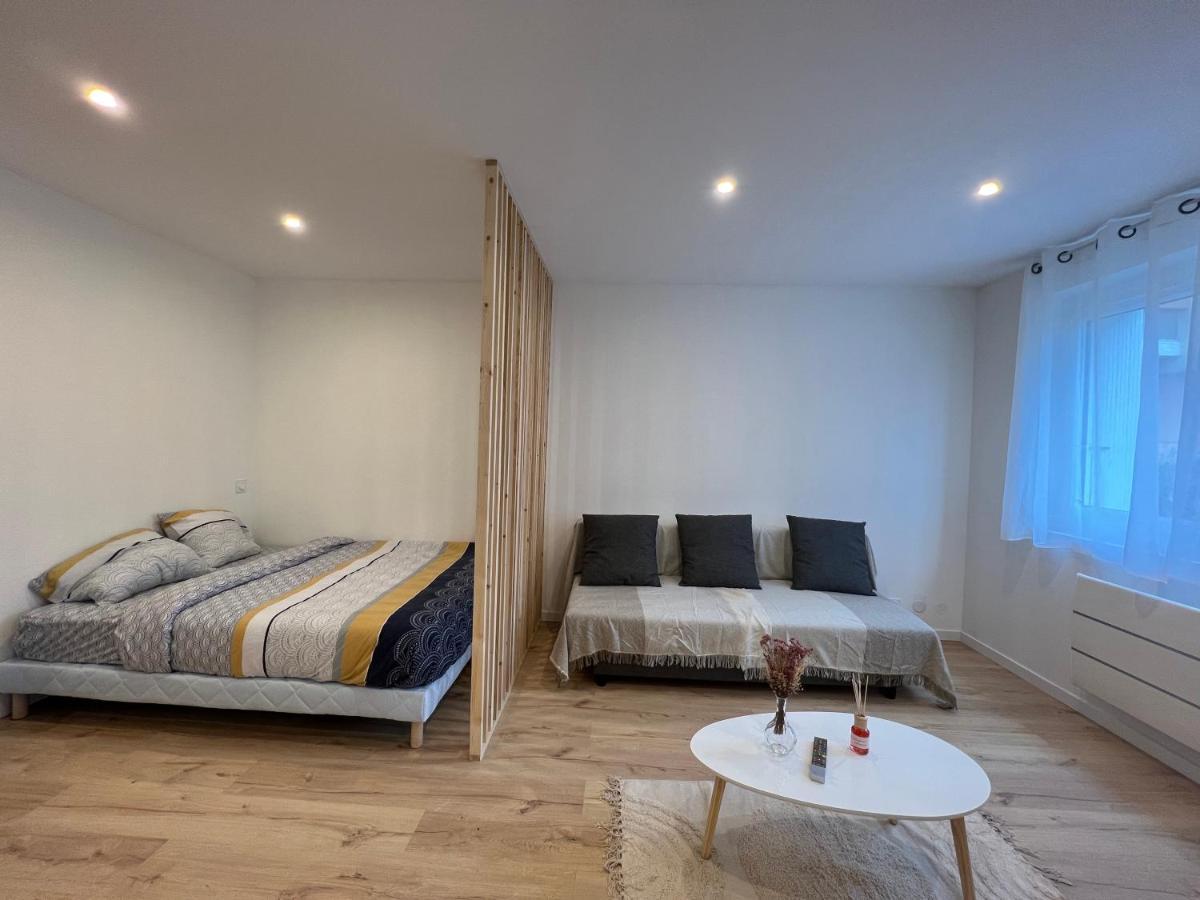 Апартаменти Le Petit Sauveur - Studio & Parking Тулуза Екстер'єр фото